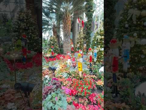 Garden by the Bay beautiful Christmas decoration#christmas #youtubeshorts#merrychristmas #singapore