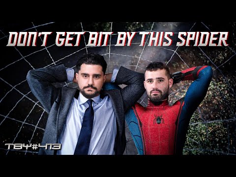 Don't Get Bit By This Spider | The Basement Yard #413