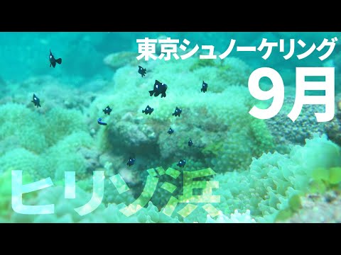 ＃５ヒリゾ浜でシュノーケリング（2018年9月）【東京シュノーケリング】