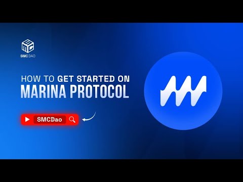 How to get started on marina protocol