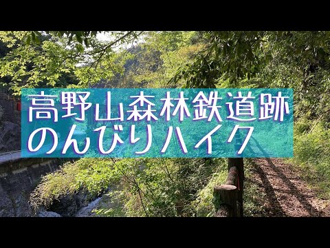 高野山森林鉄道跡ハイキングコースをのんびりと♪