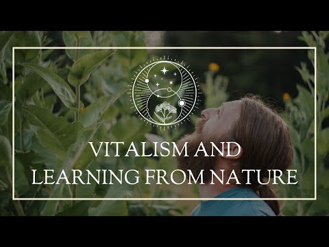 Vitalism and Learning From Nature