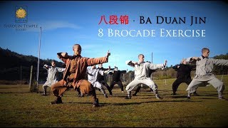 八段锦 · Ba Duan Jin (8 Brocade Exercise) Qi Gong