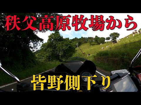 【CB1100EX】秩父高原牧場から　皆野側下り【モトブログ】