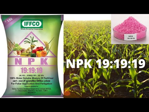 NPK Fertilizer | NPK 19 19 19 uses in hindi | NPK 19 19 19 fertilizer price | NPK khad ke fayde