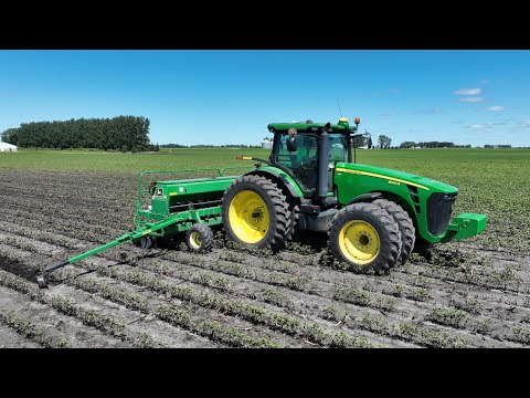 We Decided to Fight Back | New Soybean Drill