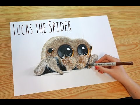 Speed Drawing Lucas The Spider