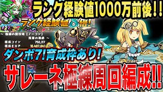 【極練1000万経験値越えも！】サレーネ編成で「極練の闘技場」ランク経験値8倍を周回！育成枠有り！ノンストップ攻略 パズドラ 9周年