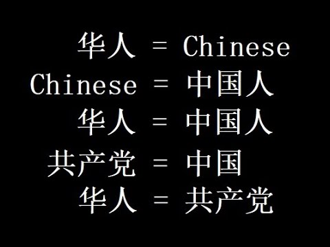 入籍马国的爱祖国中国人怒怼反共人士，和中国的友谊不容破坏？