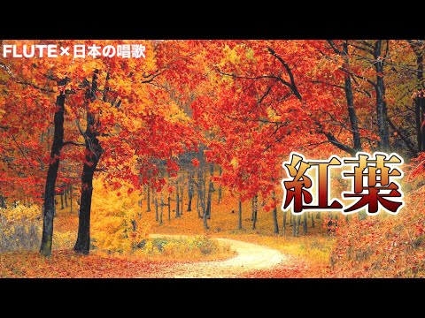 【フルート】紅葉/岡野貞一【日本の唱歌】