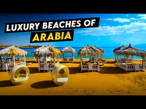 Beaches of Arabia | Hidden Gems of Coastal Beauty