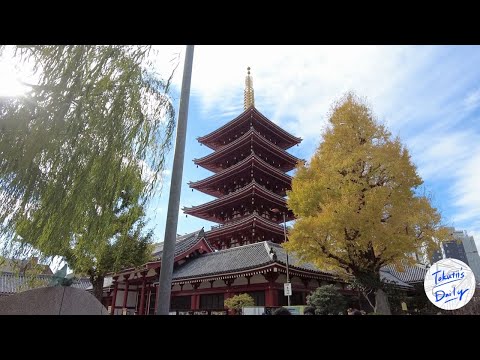 Stroll through Asakusa, Azabudai Hills, and Roppongi Hills, I stayed in Akasaka. First Cabin Akasaka