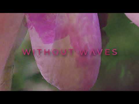 WITHOUT WAVES - SLEIGHT IN SHADOWS (OFFICIAL VISUALIZER)