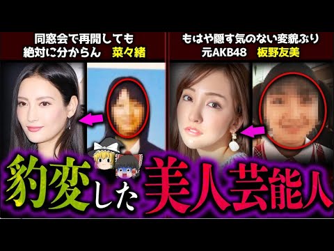 【ゆっくり解説】整形で顔が変わりすぎた芸能人5選！