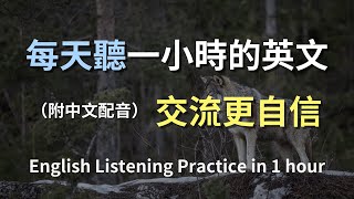 🎧保母級聽力訓練｜學英文，從日常開始｜秒聽懂生活英語｜真實情景練習｜簡單易學的英文句子｜零基礎學英文｜提升聽力不再難｜English Listening（附中文配音）