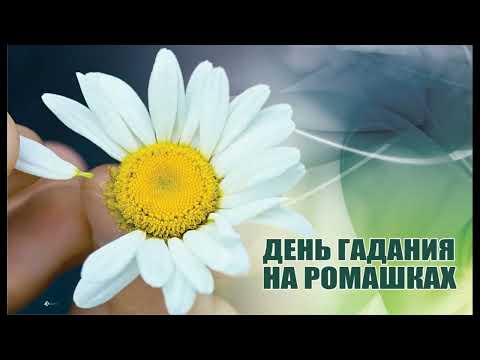 29 мая День гадания на ромашках