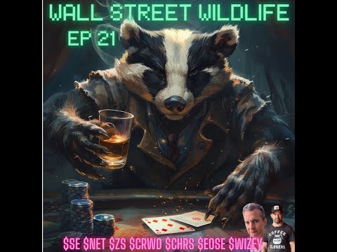 E20: Cyborgs, Casino Investing, & Badger's Portfolio Review Lessons