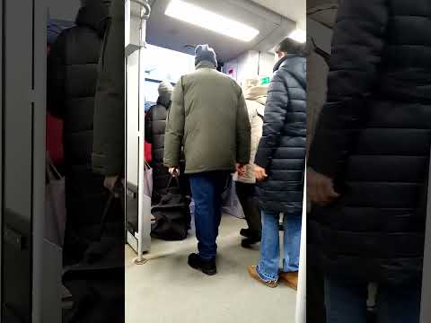 #Ботанический_сад #МЦК #декабрь_2024 #shorts #video #news #viral #live