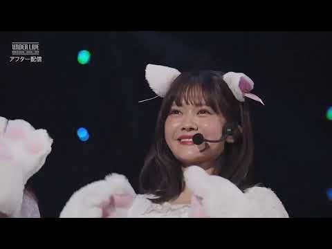 nogizaka46 under live アフター 『流星ディスコティック』