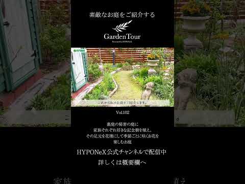 🕊Garden Tour🕊102：裏庭の秘密の庭に家族それぞれ好きな記念樹を植え、その足元を花壇にして季節ごとに咲くお花を楽しむお庭#shorts