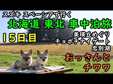 【15日目】おっさんとチワワの北海道東北車中泊旅。美瑛丘めぐり、マイルドセブンの丘、ケンとメリーの木、忠別湖、道道1116号線、チョボチナイゲート、旭岳。