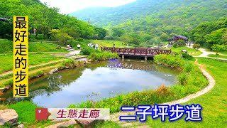 【最好走的步道】 二子坪步道  生態走廊 | 沿途生態豐富值得慢慢品味 台灣萍蓬草 南國小薊 秋海棠...