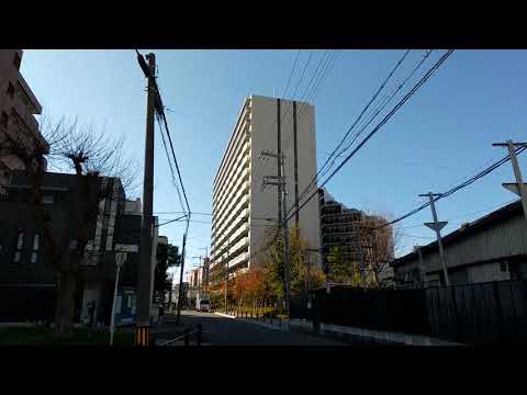 春日神社から中島惣社まで歩く（前編）【年末年始動画まつり24-25】