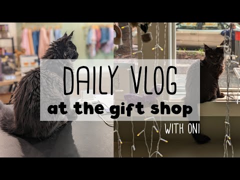 Day in the Life of a Gift Shop Owner in a Big City | ft. Oni the Store Cat