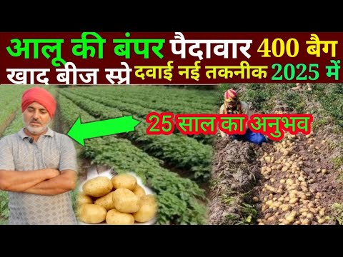 आलू की खेती // aalu ki kheti kaise karen// potato farming // संपूर्ण जानकारी fertilizer, irrigation