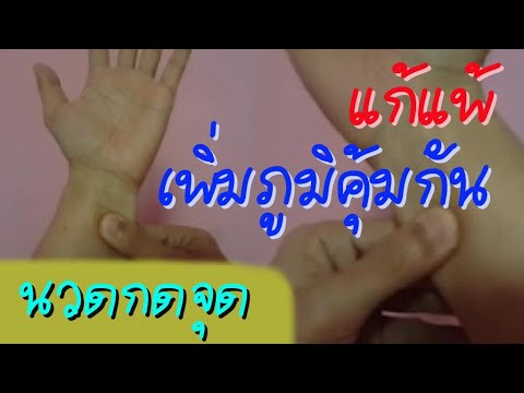 แก้แพ้อากาศ เพิ่มภูมิคุ้มกันให้ร่างกาย