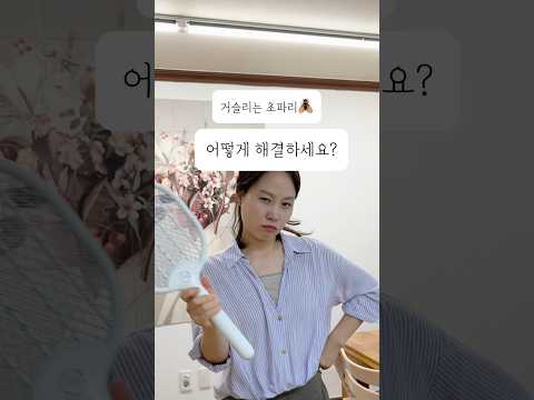 집에 초파리가 한마리라도 있다? #살림팁