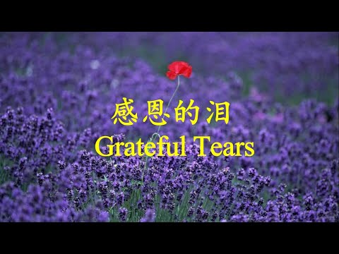 【感恩的淚】 小提琴靈修音樂 Grateful Tears / Violin Cover