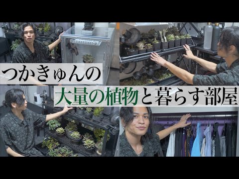 大量の植物と暮らす男、つかきゅんのルームツアー【お久しぶり】