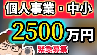 【緊急】個人事業・中小2500万円補助金開始・事前着手OK・補正予算予算追加締め切り迫るローカル10000プロジェクト5000万円【中小企業診断士・行政書士 マキノヤ先生】第2018回