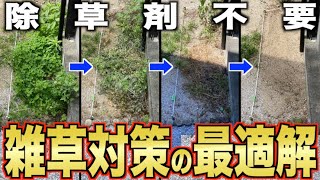 【雑草対策】除草には重曹？熱湯？それとも…