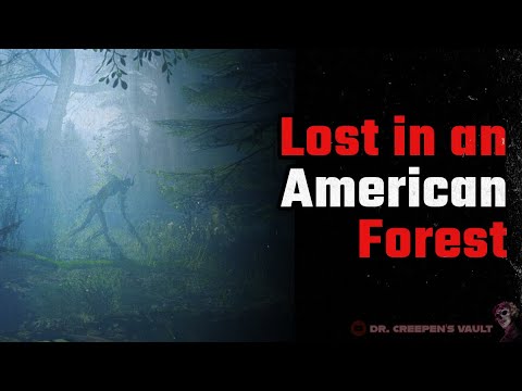 Lost in an American forest | THE CLASSIC FOREST CREEPYPASTA SERIES