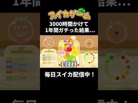 3000時間かけてスイカゲームをガチった結果…【スイカゲーム】