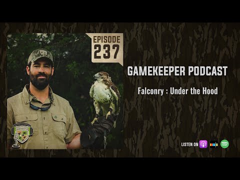 EP:237 | Falconry : Under the Hood