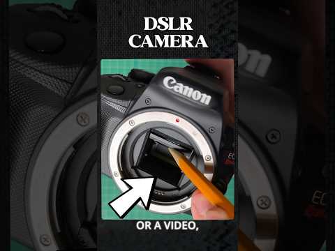 DSLR vs Mirrorless Camera