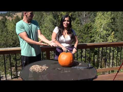 Pumpkin Challenge Gone Wrong: Fake Rat and Slime Surprise!