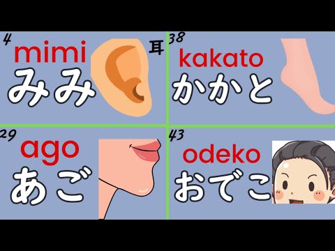 Hiragana Nouns: 50 Japanese Words about Body