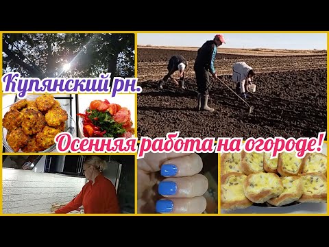 Купянский р-н/С невесткой на огороде#ватрушки #чтонаобед/