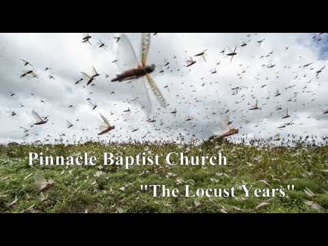 PBC The Locust Years (Reloaded)