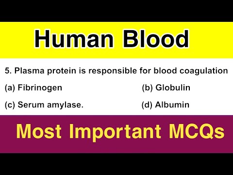 Human Blood MCQ | NEET 2024