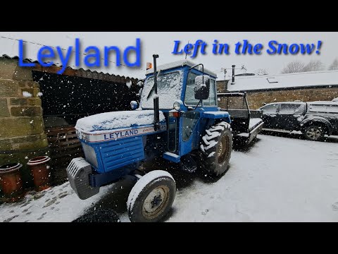 Leyland Left out in the Snow!