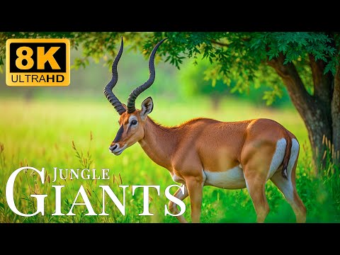 Jungle Giants 8K ULTRA HD🐾Epic Wildlife Moments With Flute Tunes