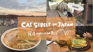 【Japan vlog】cat street in Onomichi | Hiroshima | Ramen | Japanese food | Seto island Sea