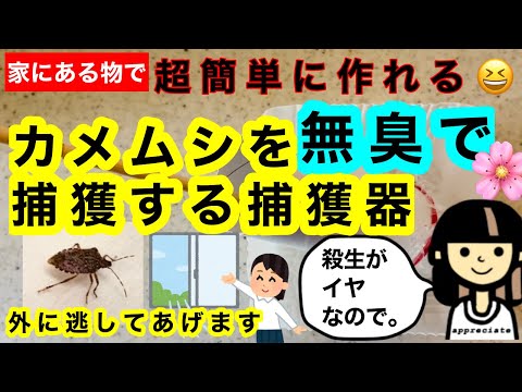 【１０秒で完成】カメムシが自分から入ってくる！無臭で捕獲する捕獲器！あると安心。捕獲して外に逃がしてあげます。