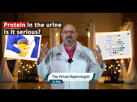 Protein in the urine - Proteinuria - Urinalysis - simplified | Dr. Rifai | The Virtual Nephrologist