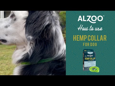 How to use ALZOO™ Hemp Collar for Dogs?